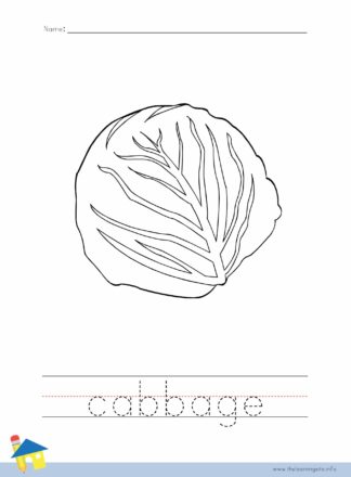 Cabbage Coloring Worksheet