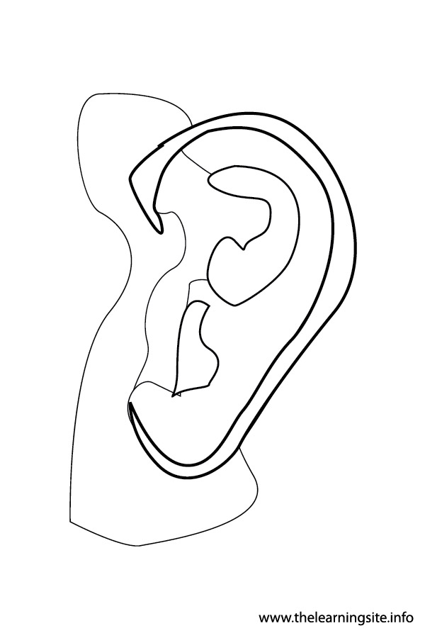 coloring-page-outline-body-parts-ears1