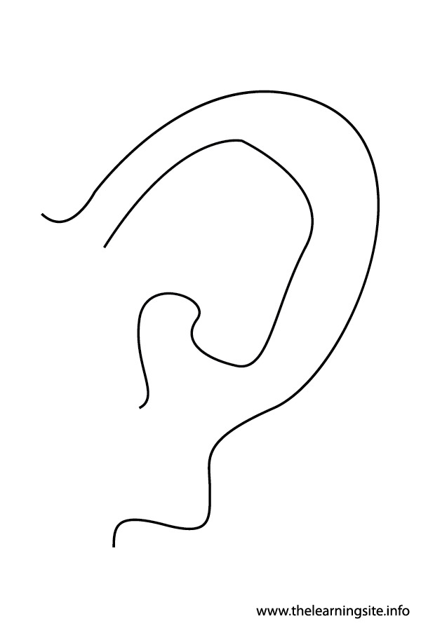 coloring-page-outline-body-parts-ears2