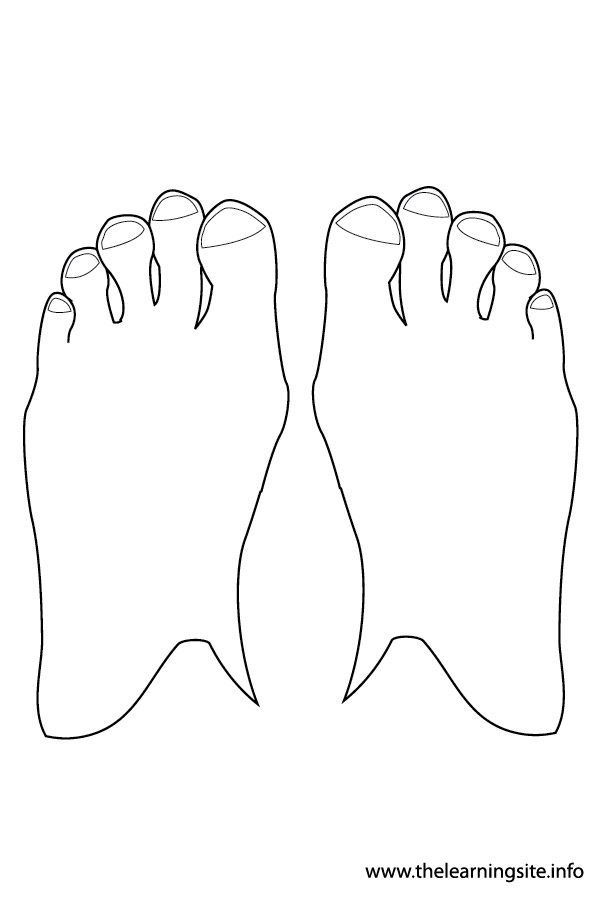 coloring-page-outline-body-parts-feet1