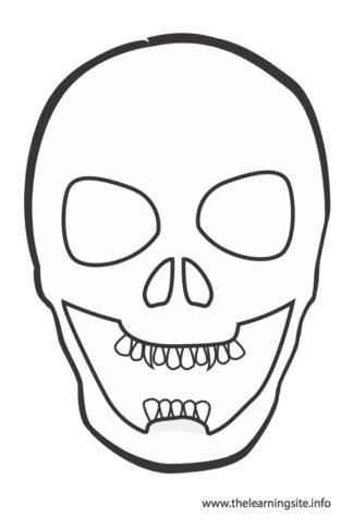Skull Flashcard – The Learning Site