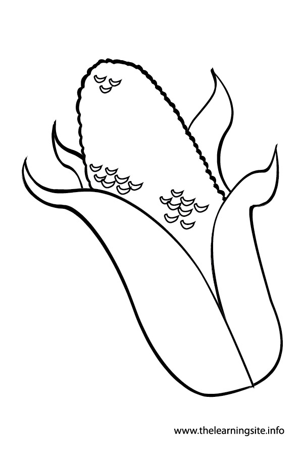 coloring-page-outline-vegetables-corn