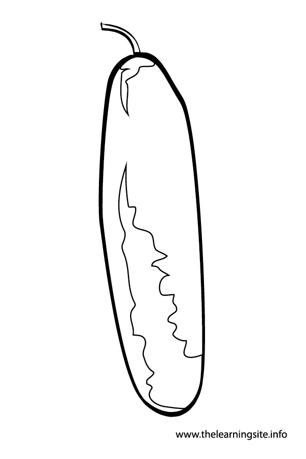coloring-page-outline-vegetables-cucumber