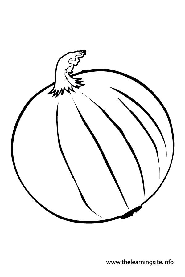 coloring-page-outline-vegetables-onion