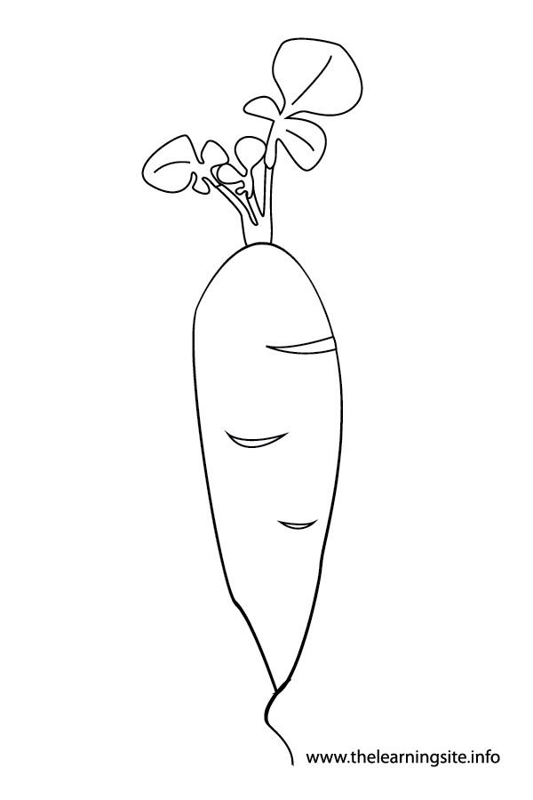 coloring-page-outline-vegetables-radish