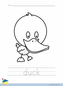 Duck Coloring Worksheet