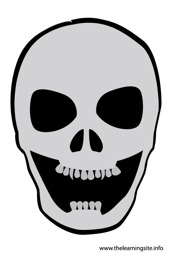 flashcard-skull