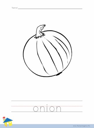 Onion Coloring Worksheet