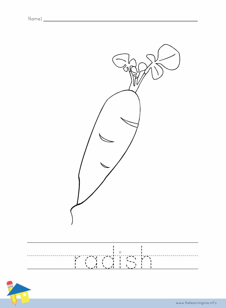 Radish Coloring Page Outline