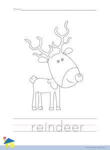 Reindeer Coloring Worksheet