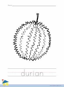 Durian Coloring Page Outline