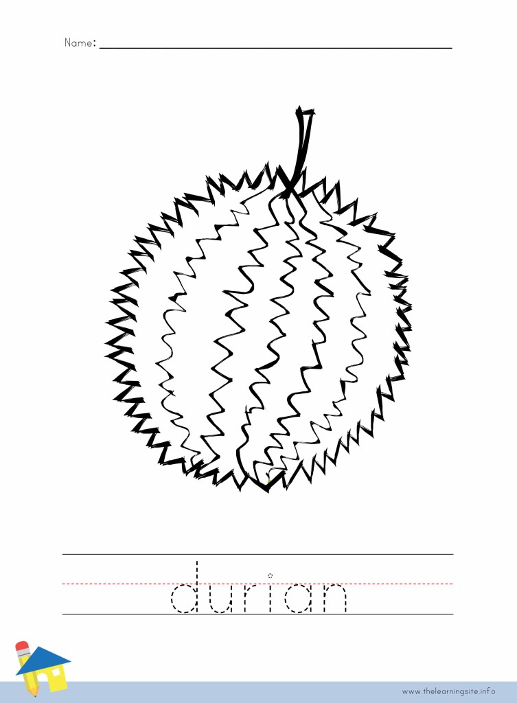 Durian Coloring Page Outline