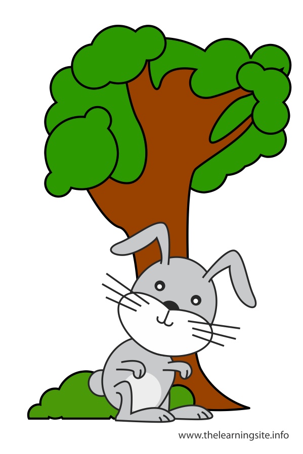 flashcard-preposition-infronof-rabbit-in-front-of-a-tree