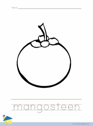 Mangosteen Coloring Page Outline