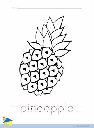Pineapple Coloring Page Outline