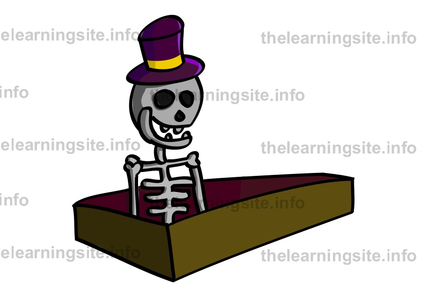 flashcard-skeleton-sample