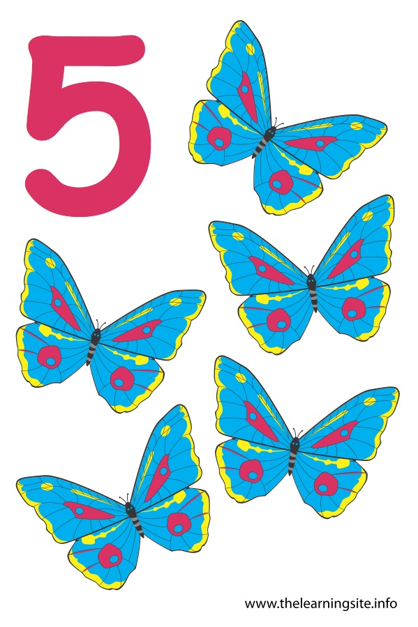 flashcard-number-five-butterflies