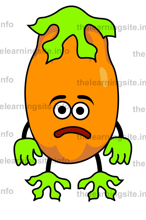 flashcard-fruit-characters-papaya-sample
