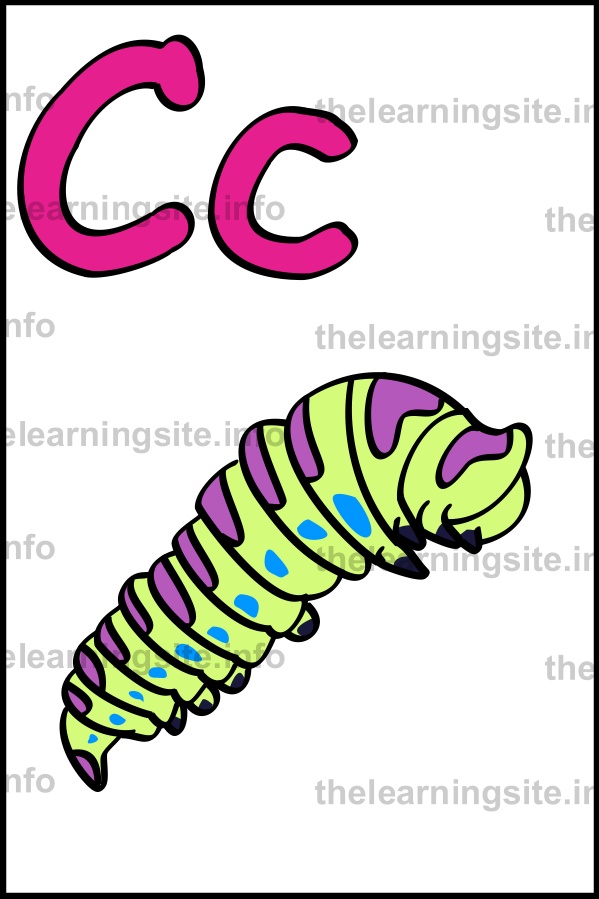 flashcard-alphabet-letter-c-simple-catterpillar-sample