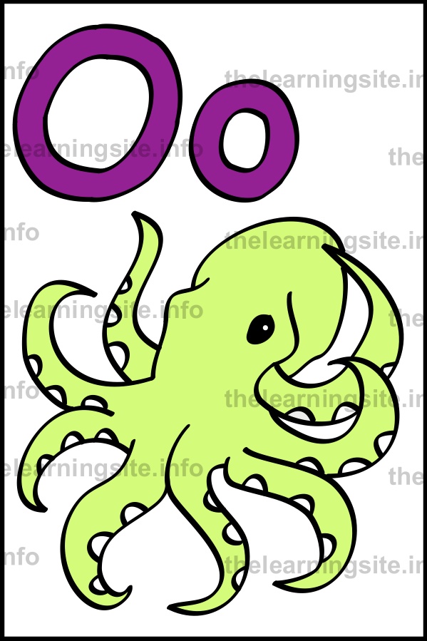 flashcard-alphabet-letter-o-simple-octopus-sample