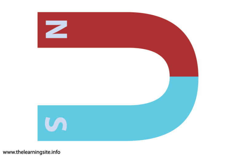 Horse Shoe The Learning Site