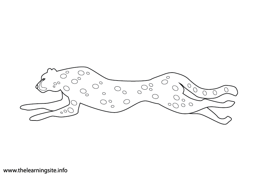 Animal Adjective Fast Cheetah Coloring Page Flashcard Illustration