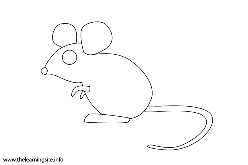 Animal Adjective Small Mouse Coloring Page Flashcard Illustration