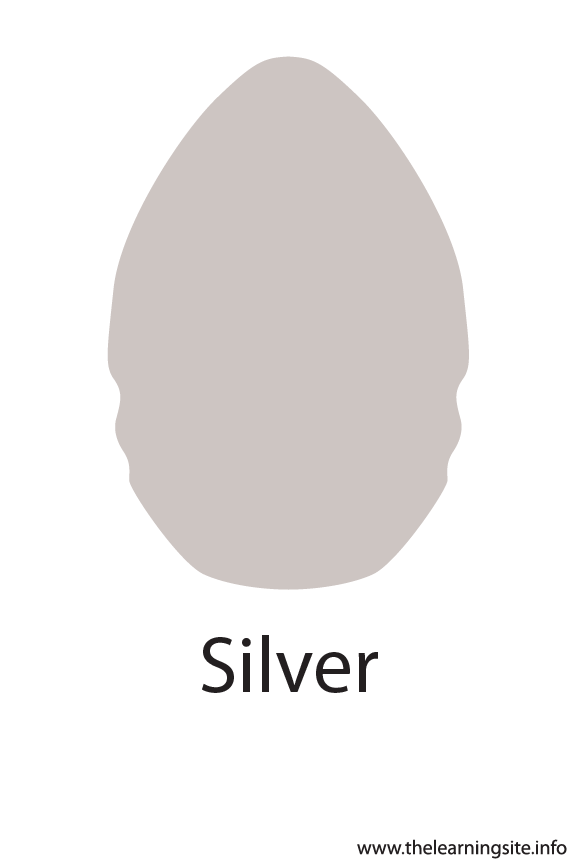 Silver Crayola Color Flashcard Illustration