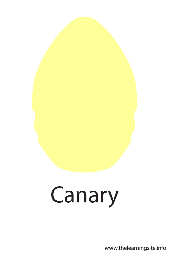 Canary Crayola Color Flashcard Illustration