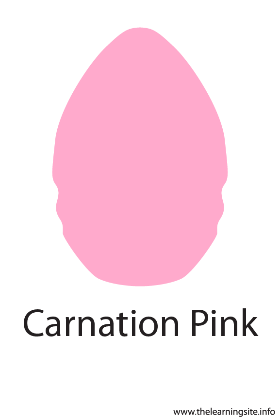 Carnation Pink Crayola Color Flashcard Illustration