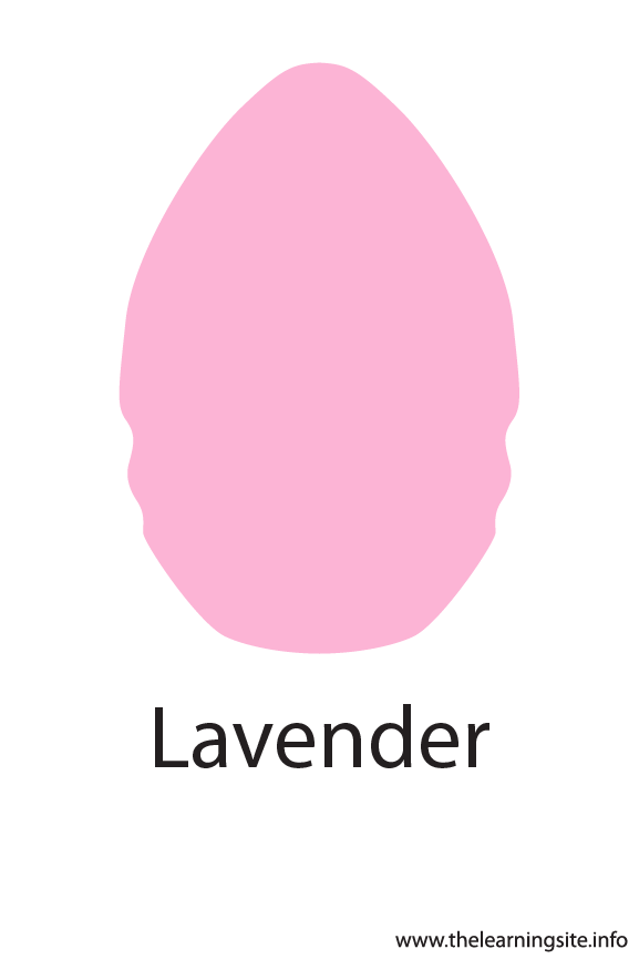 Lavender Crayola Color Flashcard Illustration
