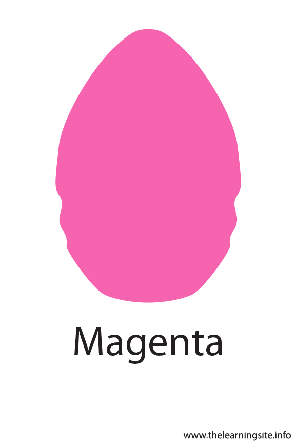 Magenta Crayola Color Flashcard Illustration
