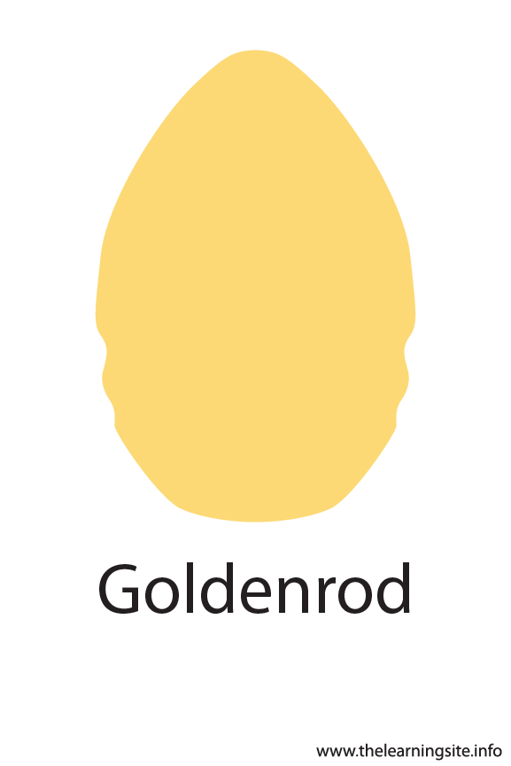 Goldenrod Crayola Color Flashcard Illustration
