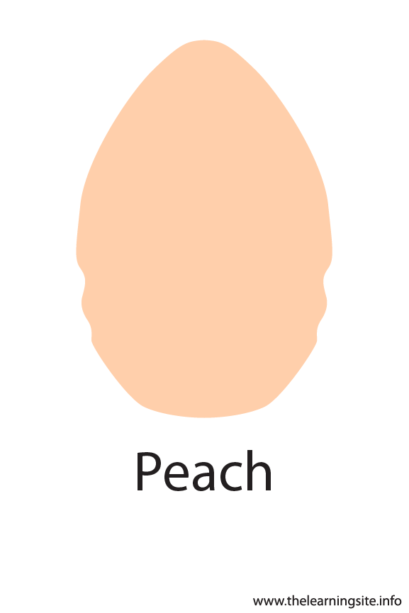 Peach Crayola Color Flashcard Illustration