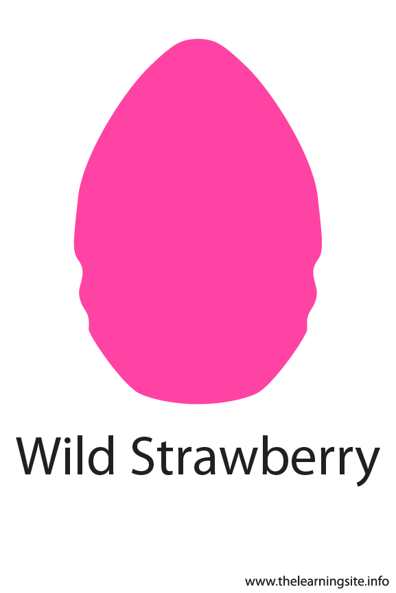 Wild Strawberry Crayola Color Flashcard Illustration