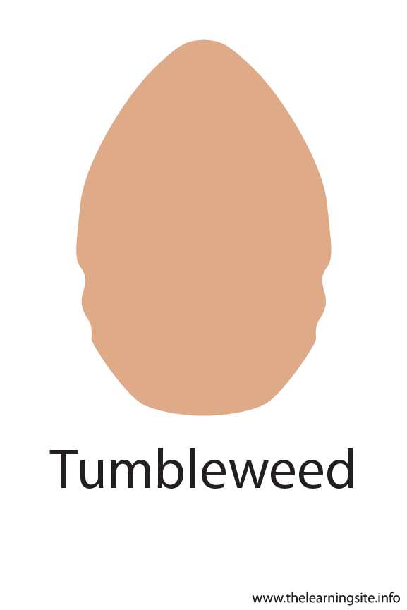 Tumbleweed Crayola Color Flashcard Illustration