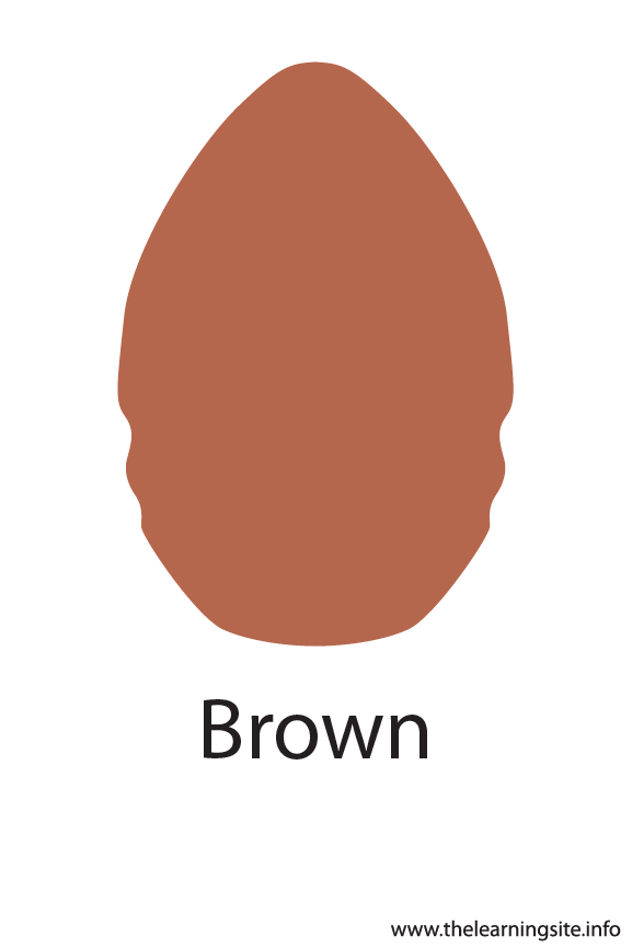 Brown Crayola Color Flashcard Illustration