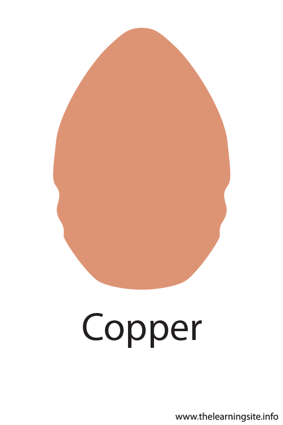 Copper Crayola Color Flashcard Illustration