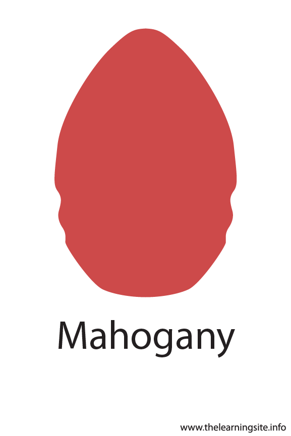 Mahogany Crayola Color Flashcard Illustration