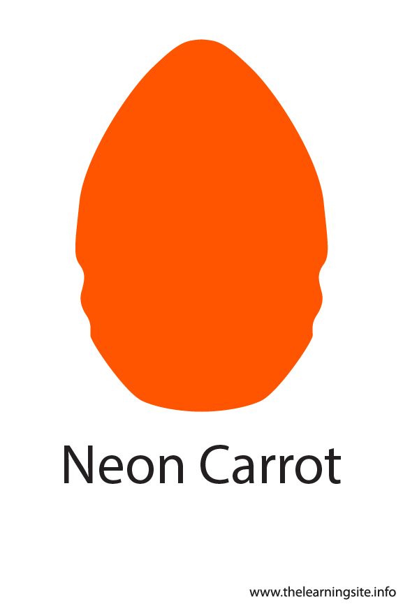 Neon Carrot Crayola Color Flashcard Illustration