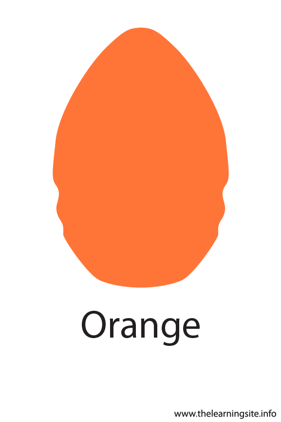 Orange Crayola Color Flashcard Illustration