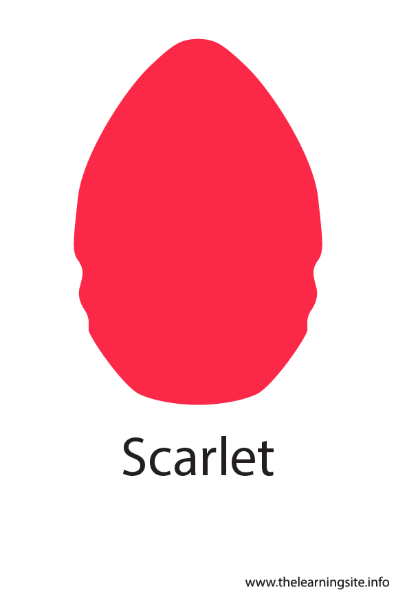 Scarlet Crayola Color Flashcard Illustration