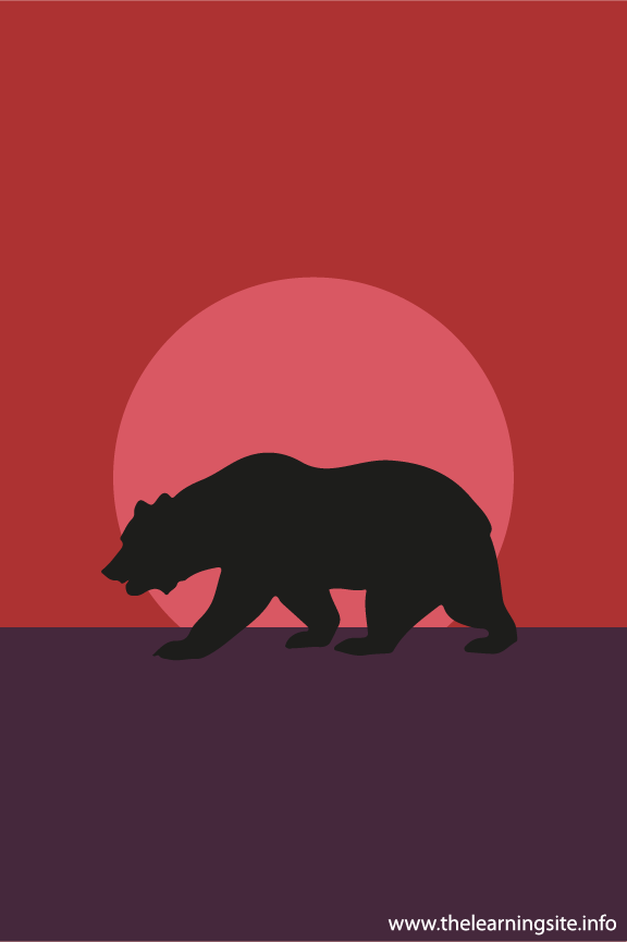 Bear Animal Sunset Silhouette Flashcard Illustration