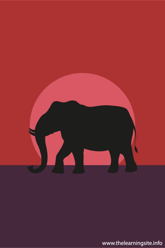 Elephant Animal Sunset Silhouette Flashcard Illustration