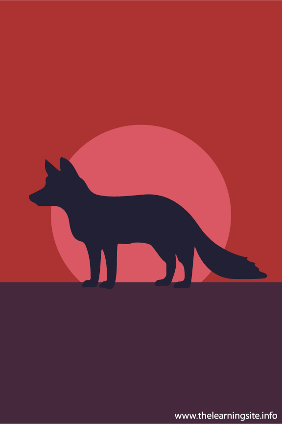 Fox Animal Sunset Silhouette Flashcard Illustration