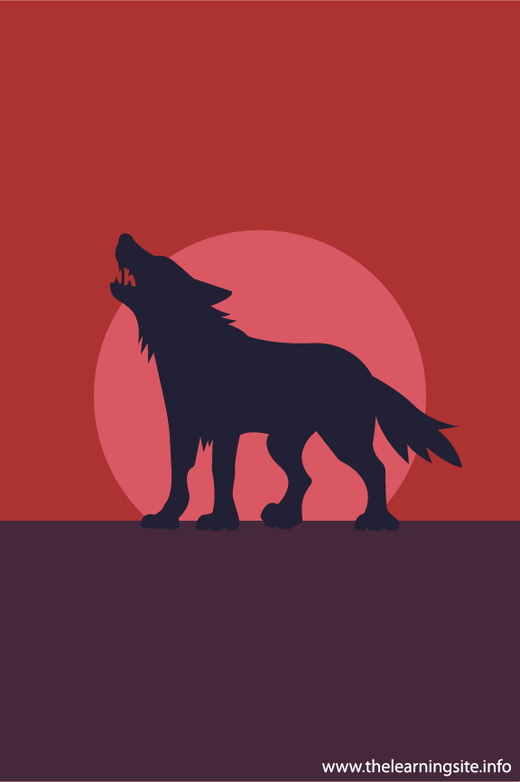 Wolf Animal Sunset Silhouette Flashcard Illustration