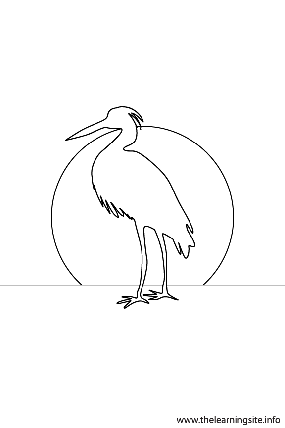Heron Animal Sunset Silhouette Coloring Page Outline Flashcard Illustration