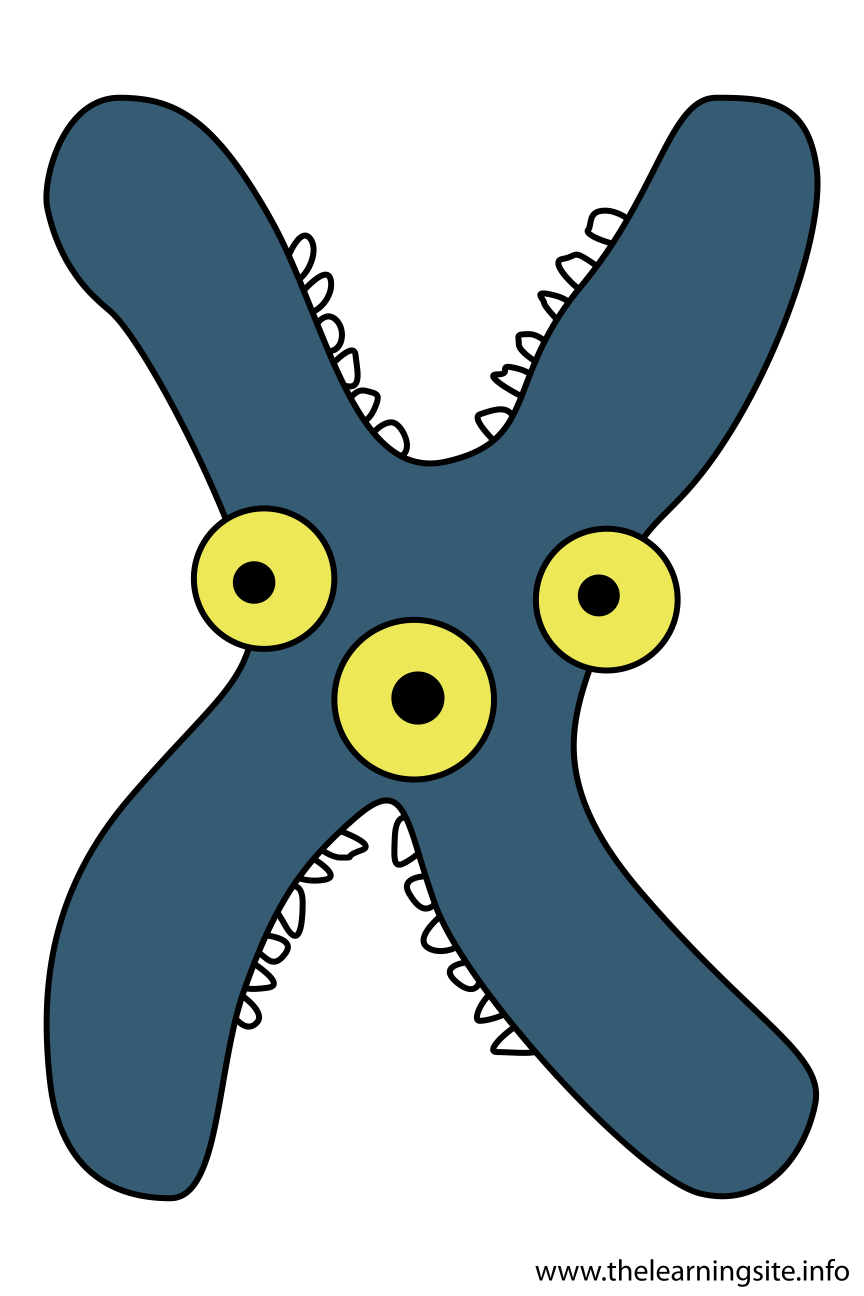 Alphabet Character Letter X Flashcard Illustration