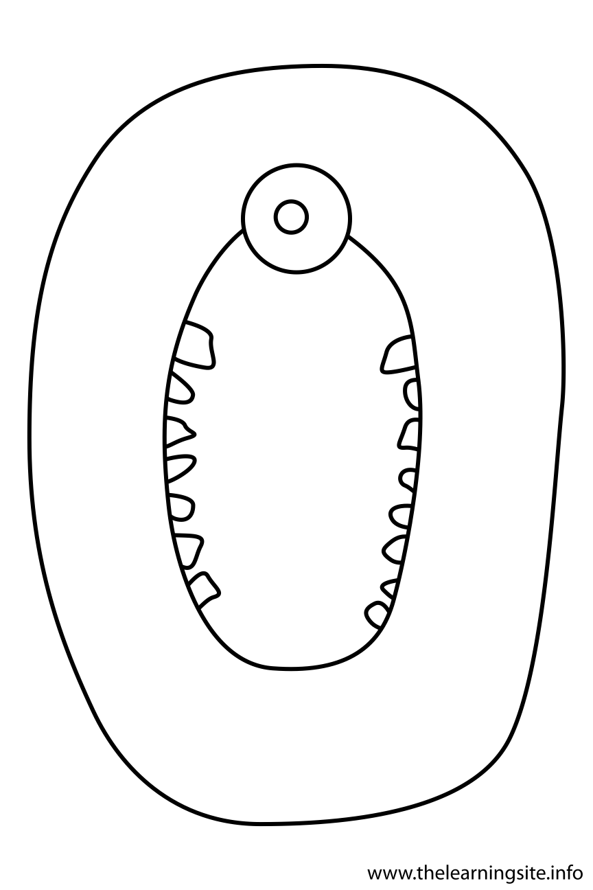 Alphabet Character Letter O Coloring Page Outline Flashcard Illustration
