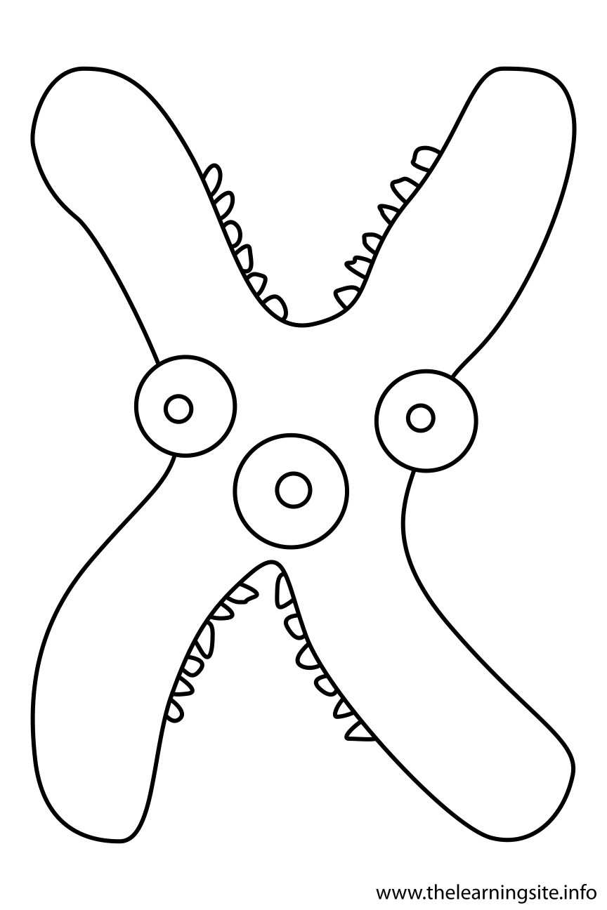 Alphabet Character Letter X Coloring Page Outline Flashcard Illustration